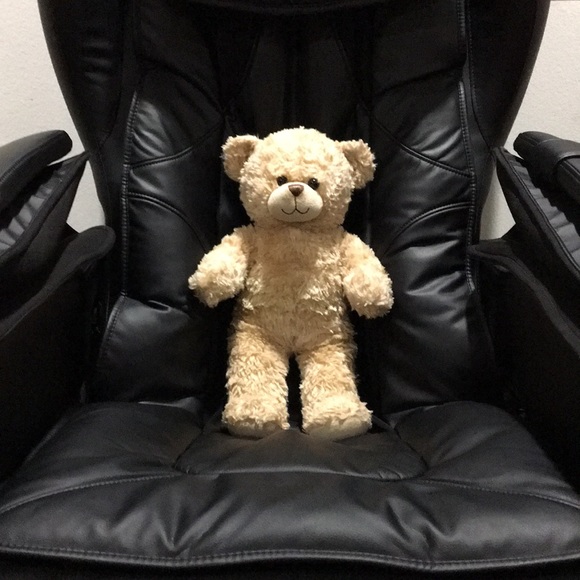 ❣️ BUILD-A-BEAR ❣️ COLLECTION GORGEOUS FLUFFY BEAR PLUSH ( NWOT ) . - Picture 1 of 4